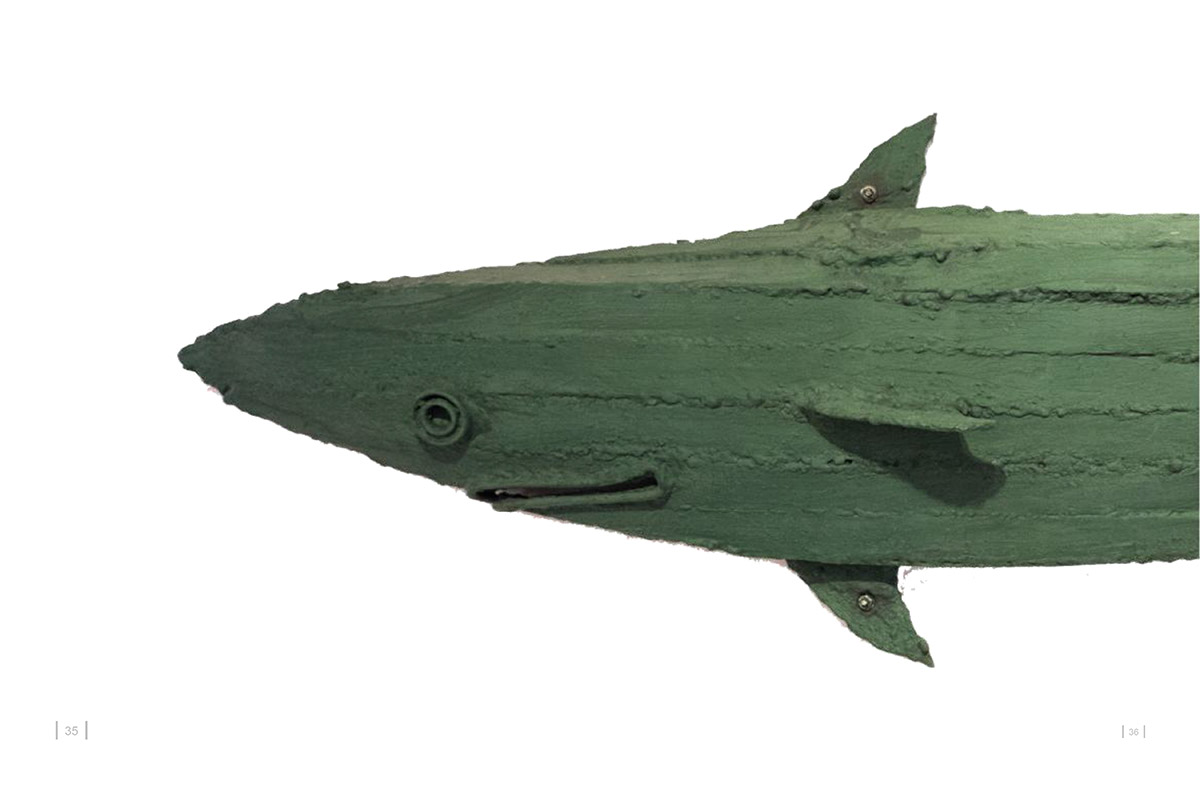 tiburon-canal-de-la-mona