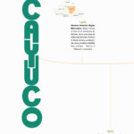 Catalogo Cayuco-2024-44